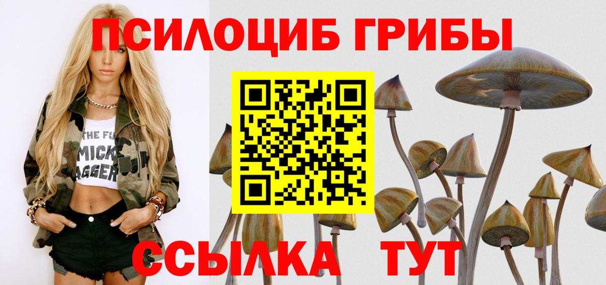 Каменск-Уральский  Псилоцибиновые грибы ЛСД  Псилоцибиновые грибы GOLDEN TEACHER  Вход с VPN 