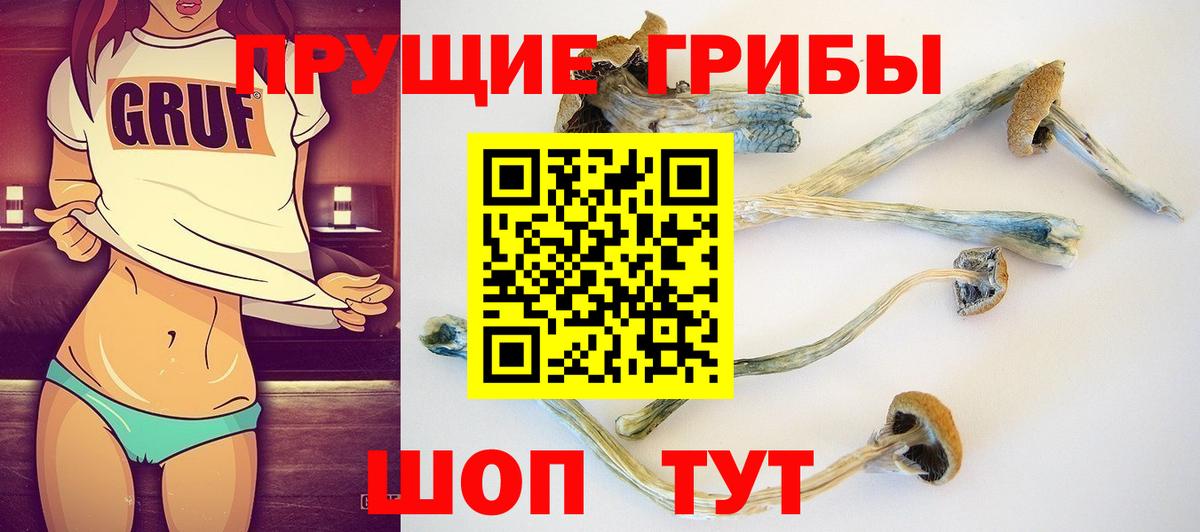 Галлюциногенные грибы Magic Shrooms Каменск-Уральский